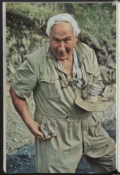 Louis Leakey with pockets full of Pleistocene animal teeth found at Olduvai Gorge, National Geographic, November 1966 issue (Linda Hall Library)