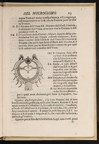 Section of a human eye, woodcut diagram, in Opusculi, 1644 (Linda Hall Library)