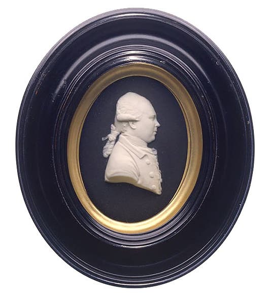 A Wedgwood medallion portrait of Daniel Solander, jasper ware, 1775 (National Library Wellington, New Zealand)