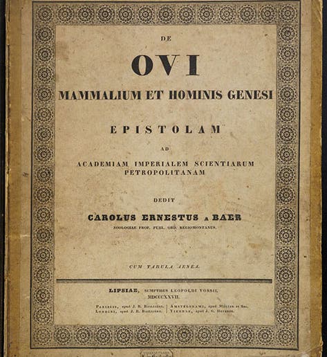Paper front cover, De ovi mammalium et hominis genesi epistolam, by Karl Ernst von Baer, 1827 (Linda Hall Library)