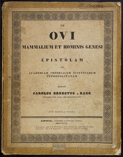 Paper front cover, De ovi mammalium et hominis genesi epistolam, by Karl Ernst von Baer, 1827 (Linda Hall Library)