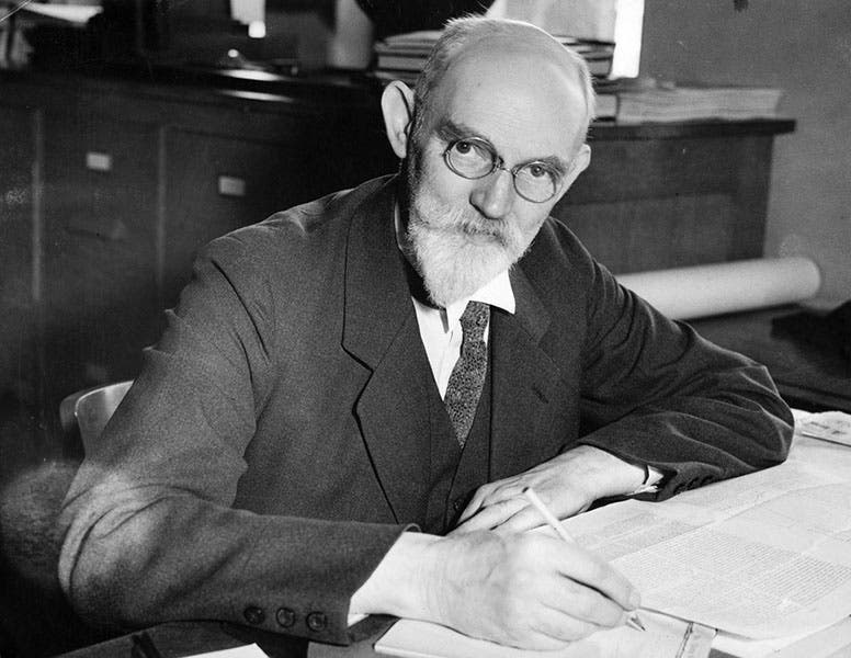 Portrait of Willem de Sitter, photograph, ca 1930 (Wikimedia commons)