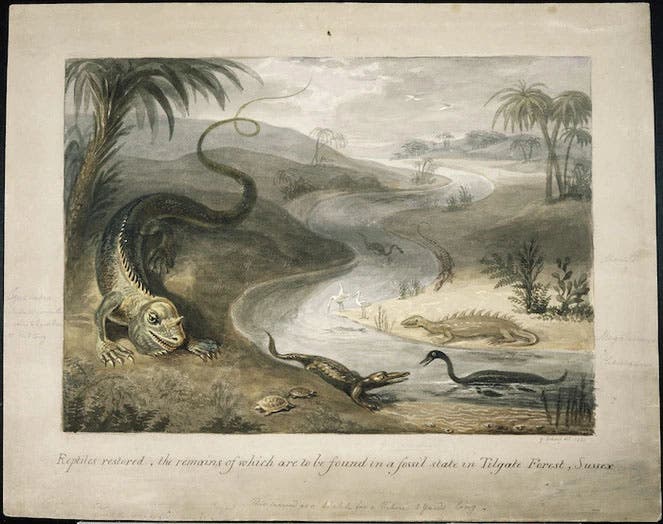 “Reptiles restored,” watercolor by George Scharf, ca 1833, National Library of New Zealand; Iguanodon is on the left (natlibgovt.nz)