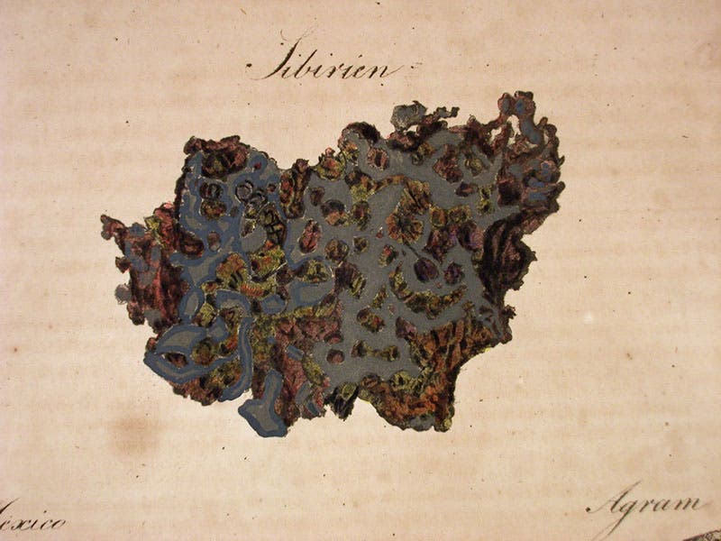 A piece of the Pallas Iron, or Krasnojarsk meteorite, detail of a lithograph in Karl von Schreibers, Beytrage zur Geschichte und Kenntniss meteorischer Stein- und Metall-Massen, 1820 (Linda Hall Library)