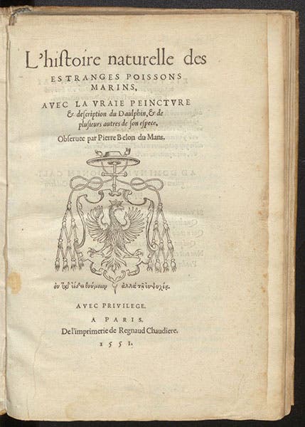 Title page, L'histoire naturelle des estranges poissons marins, by Pierre Belon, 1551 (Linda Hall Library)