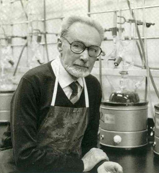 Primo Levi in the lab, photograph, undated, mid 1970s? (museoitaloamericano.org)
