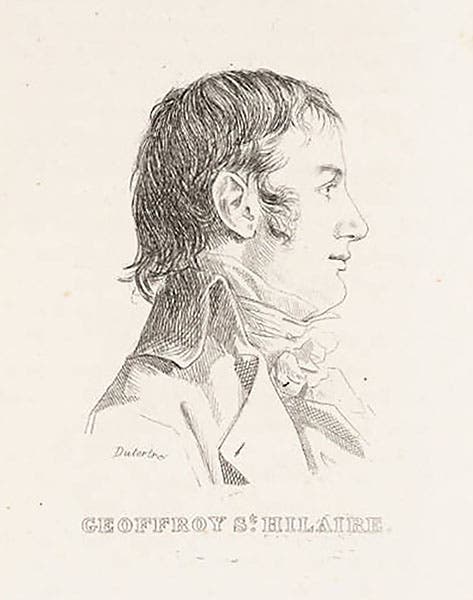 Portrait of Étienne Geoffroy Saint-Hilaire, by André Dutertre, 1799, from Louis Reybaud, Histoire, 1830-36 (Linda Hall Library)