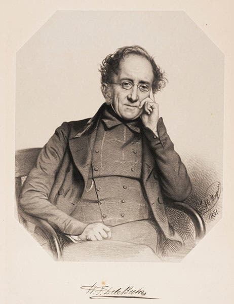 Detail of portrait of Henry Thomas De la Beche, lithograph, by Thomas Maguire, 1851 (Linda Hall Library)