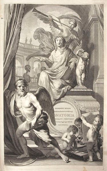 Engraved title page, after design by Gerard de Lairesse, in Govard Bidloo Anatomia humani corporis, 1685 (Lilly Library, Indiana University)