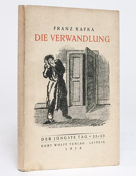 Front wrapper of the first edition of Kafks’s Die Verwandlung (The Metamorphosis), 1915 (Whitmore Rare Books)