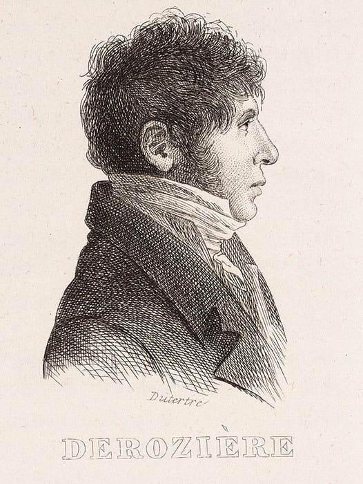 François-Michel Rozière, from Louis Reybaud, Histoire de l’expédition française en Égypte (Paris 1830-36) v. 6.