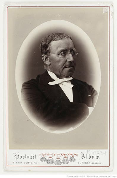 Portrait of Jules-Émile Planchon, undated, Bibliothèque nationale de France (gallica.bnf.fr)