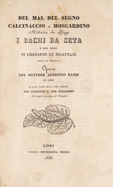 Title page of Del mal del segno, calcinaccio o moscardino: malattia che affligge i bachi da seta (On the Evil Sign, Calcinaccio or Muscardine: A Disease that Afflicts Silkworms), by Agostino Bassi, 1836, Biodiversity Heritage Library (biodiversitylibrary.org)