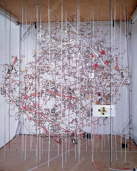 The high-resolution model of hemoglobin, 1968, by Max Perutz, MRC Laboratory of Molecular Biology, Cambridge (sciencephoto.com)