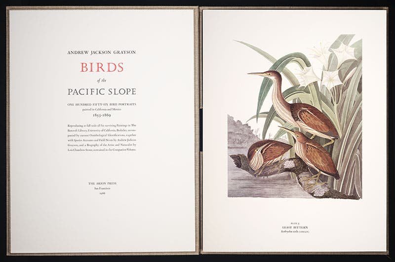 The box that holds the 156 plates of the Birds of the Pacific Slope published by the Arion Press, with the title page at the left and the Least Bittern on the right, 1986 (Linda Hall Library)