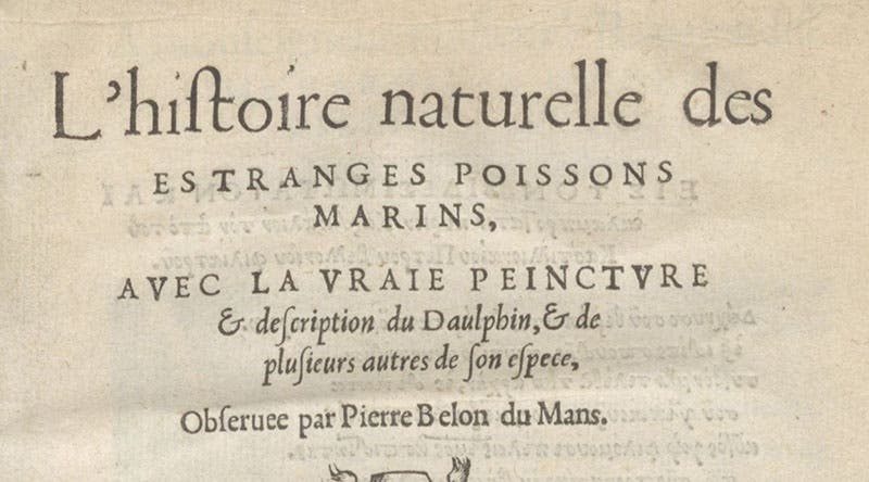Detail of the title page, stressing the fact that the book contains a “true picture” of the dolphin and other animals, L'histoire naturelle des estranges poissons marins, by Pierre Belon, 1551 (Linda Hall Library)

