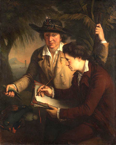 Johann Reinhold and Johann Georg Forster, father-and-son naturalists on Cook’s second voyage, oil on canvas by JeanFrancois Rigaud, National Portrait Gallery of Australia (portrait.gov.au)