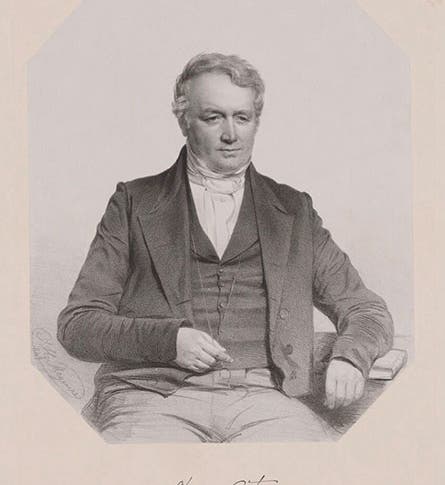 Portrait of Eleazar Root, by Thomas Maguire, lithograph, 1851 (National Portrait Gallery, London)