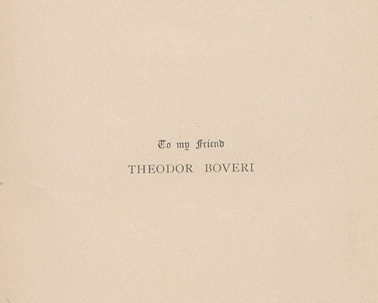 Dedication to Theodor Boveri, The Cell in Development and Inheritance, by Edmund Beecher Wilson, 1896 (Linda Hall Library)
