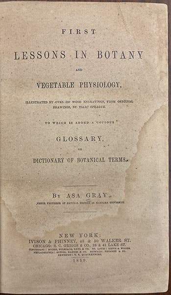 Title page, First Lessons in Botany, by Asa Gray, crediting Isaac Sprague for the 300 wood engravings, 1859 (Linda Hall Library)