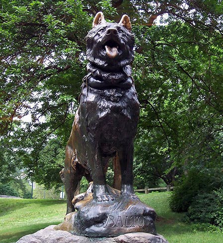 Statue of Balto in Central Park, New York City (Wikimedia commons)