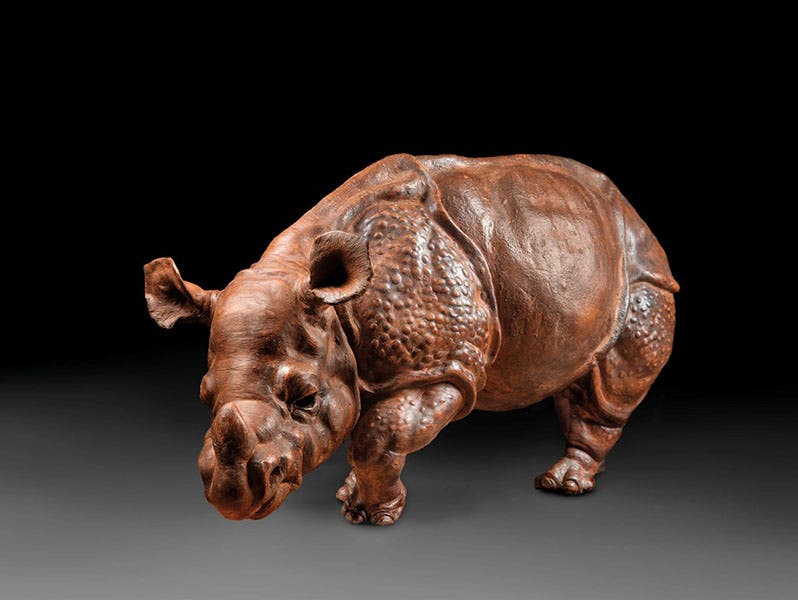 Statuette of Clara the Rhino, sculpted by Pieter Camper, 18th-century, recently acquired (2025) by the Rijksmuseum, Amsterdam (rijksmuseum.nl)