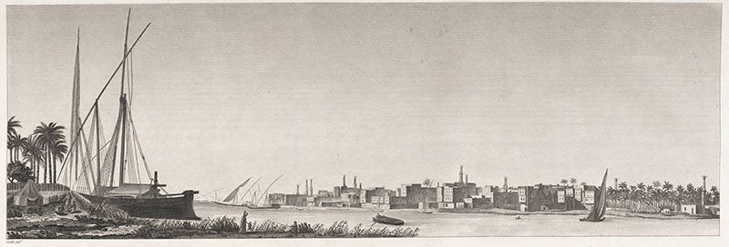 View of Rosetta, Egypt, drawing by François-Charles Cécile, in Description de l’Egypte, 1809-1828 (Linda Hall Library)