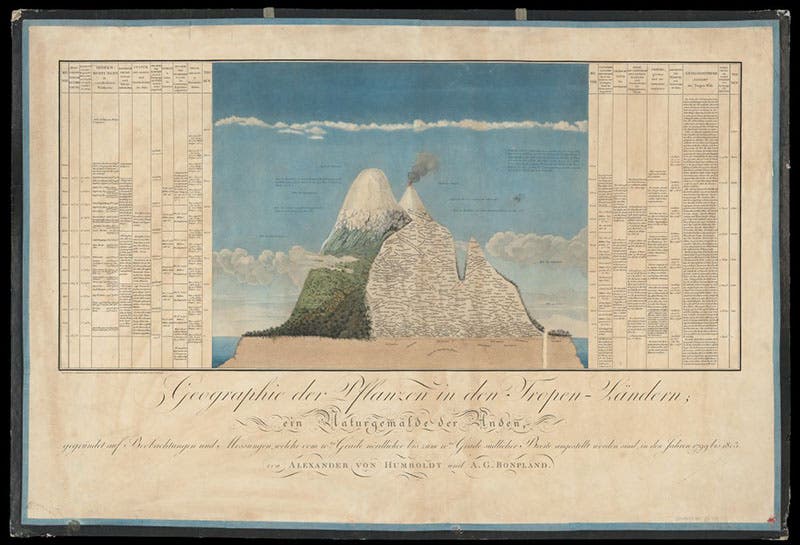 Plant distribution on Chimborazo and Cotopaxi in the Andes, folding hand-colored engraving, entire, Alexander von Humboldt, Ideen zu einer Geographie der Pflanzen, 1807, Zentralbibliothek Zürich (Wikimedia commons)