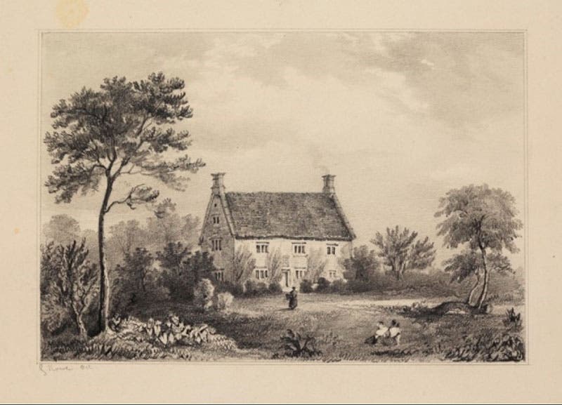 The manor-house of Isaac Newton at Woolsthorpe, with the apple tree fallen and regrowing at right, drawing by Geoge Rowe, 19th-century, Royal Society of London archives (royalsociety.org)