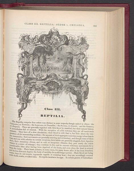 First page of the Reptile section, with an elaborate wood-engraved headpiece, from Samuel G. Goodrich, Illustrated Natural History, 1859 (Linda Hall Library)