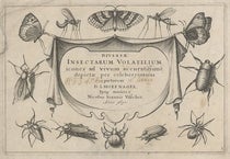 Engraved title page, Diversae insectarum volatilium icones ad vivum accuratissime depictae, by Jacob Hoefnagel, plate 1, 1630 (Linda Hall Library)