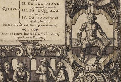 Vignette showing “venous man,” detail of engraved titlepage (sixth image) , Girolamo Fabrici d'Acquapendente, Anatomices et Chirurgiae, 1624 (gallica.bnf.fr)