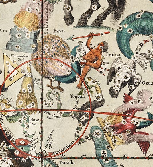 Detail of plate 27 of Andreas Cellarius, <I>Harmonia macrocosmica</i>, 1661, showing the new southern constellations of Houtman and Keyser (Linda Hall Library)