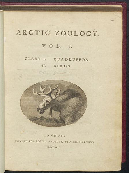 Title page with engraved vignette of a moose after George Stubbs, Thomas Pennant, Arctic Zoology, 1792 (Linda Hall Library)