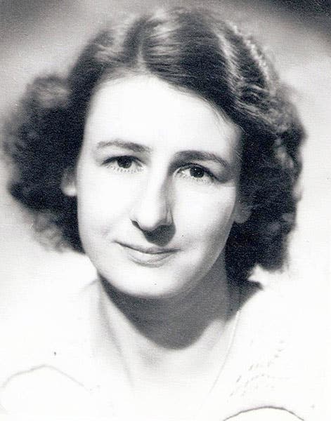 Marjorie Courtenay-Latimer, photograph, late 1930s (scientificwomen.net)