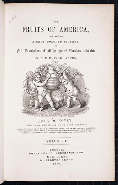 Title page, Charles Hovey, Fruits of America (1852-6) (Linda Hall Library)