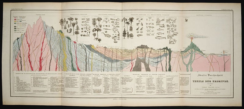 Idealized section of the stratigraphy of the Earth, with representative fossils from those strata, hand-colored engraving, Heinrich Berghaus, Physikalischer Atlas, vol. 1, 1845 (Linda Hall Library)