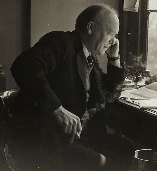 Portrait of William T. Astbury, undated photograph, Brotherton Library, University of Leeds (whatisbiotechnology.org)