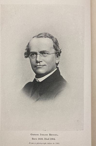 Portrait of Gregor Mendel, from a photograph of 1862, frontispiece to Report of the Third International Conference on Genetics, 1906; 1907 (Linda Hall Library)