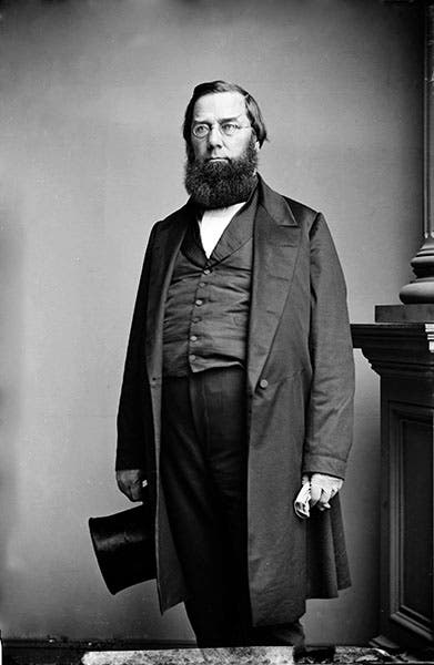 Portrait of an older George Perkins Marsh, unknown date, Forest Service, USDA (fs.usda.gov)