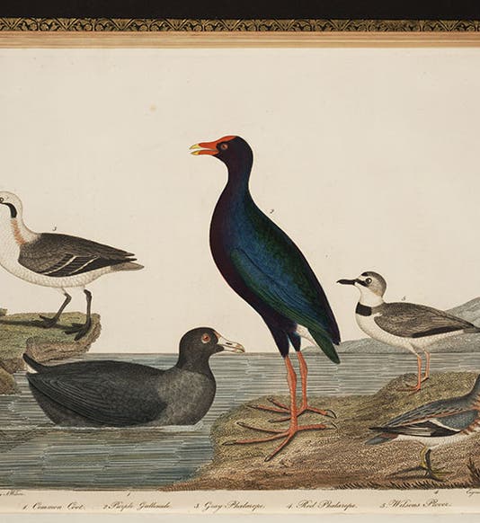 <p>Linda Hall Library</p>