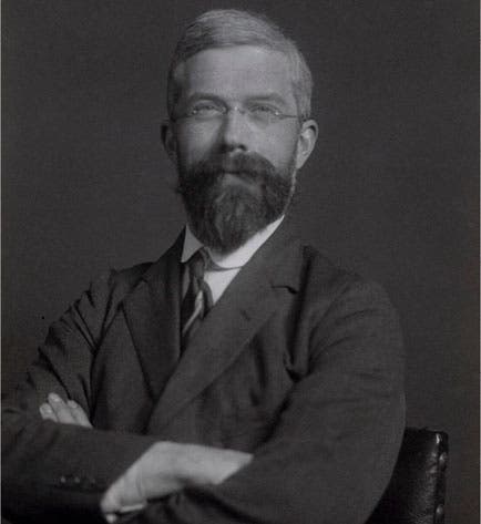 Portrait of Ronald Aylmer Fisher, photograph, bromide print, 1931, National Portrait Gallery, London (npg.org.uk)