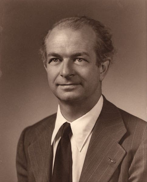 Portrait of Linus Pauling, photograph, early 1980s, National Library of Medicine (nlm.nih.gov)