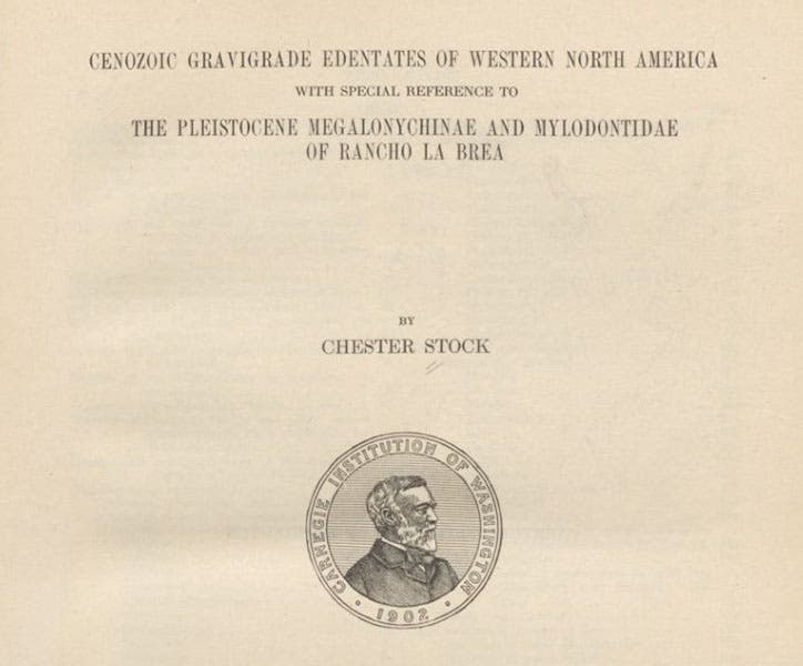Detail of title page, Chester Stock, Cenozoic Gravigrade Edentates, 1925 (Linda Hall Library)