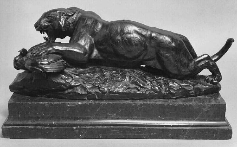 Tiger Attacking a Peacock, sculpture by Antoine-Louis Barye, bronze casting by Ferdinand Barbedienne, after 1876, Nelson-Atkins Museum of Art (art.nelson-atkins.org)