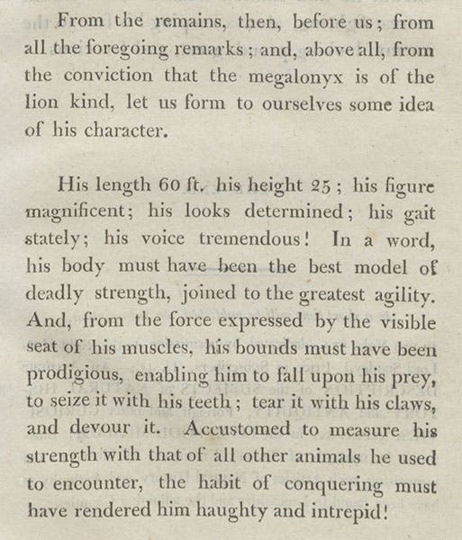 Restoration in words of a Megalonyx, from Thomas Ashe, Memoirs of Mammoth, 1806 (Linda Hall Library)