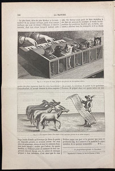 A cat orchestra and the singing donkeys, wood engraving in an article by “Dr. Z.” in L’Nature, 1883, vol. 11, p. 320 (Linda Hall Library)