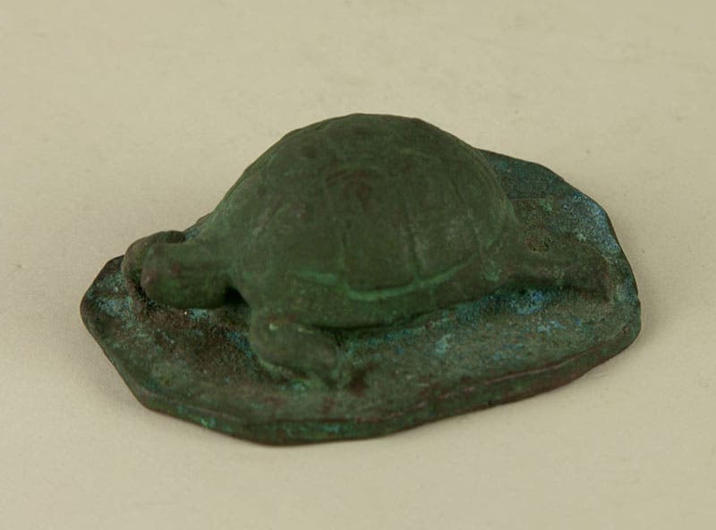 Model for the bronze turtle on the Lafayette statue in Hartford, by Paul Wayland Bartlett, in the Museum of Fine Arts of Washington County, Maryland (photo provided by the MFA of Washington County)