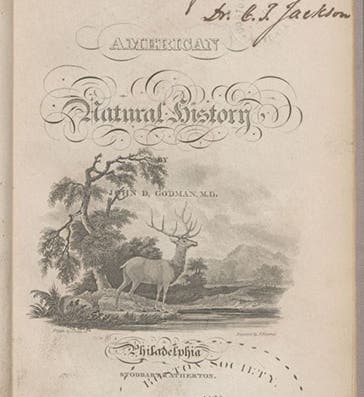 Title page, American Natural History, by John Godman, vol. 1, 1831; title-page vignette by James Peale (Linda Hall Library)
