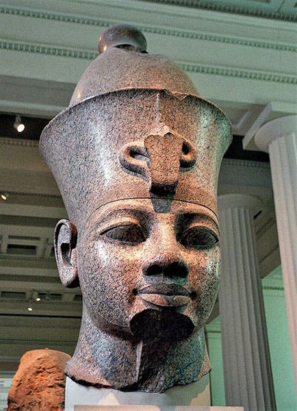 Head from monumental red granite statue of Amenhotep III, British Museum, item EA15, acquired from Henry Salt, 1823 (Wikimedia commons)